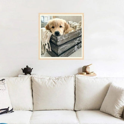 Box Dog Golden Retriever | Diamond Painting