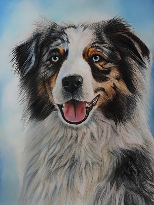 Dog Australian Shepherd | Diamond Painting