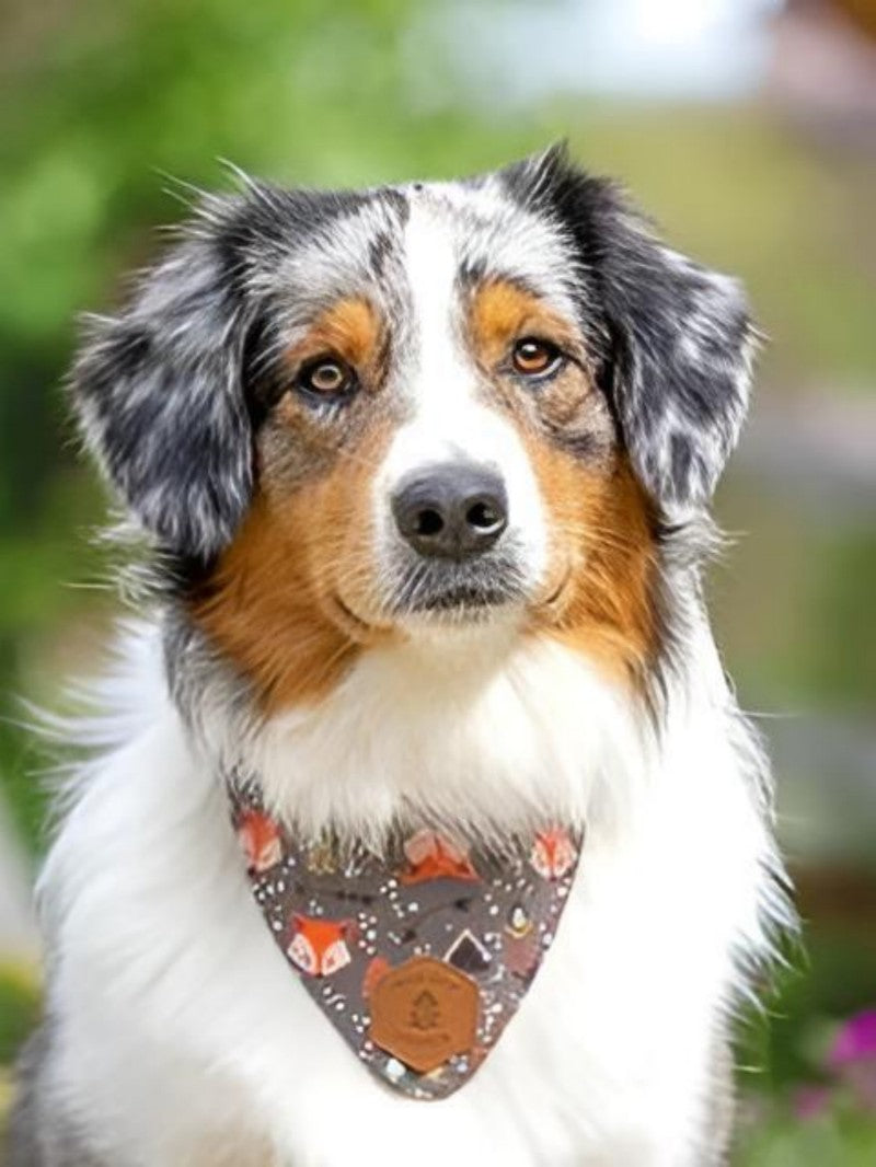 Dog Australian Shepherd | Diamond Painting