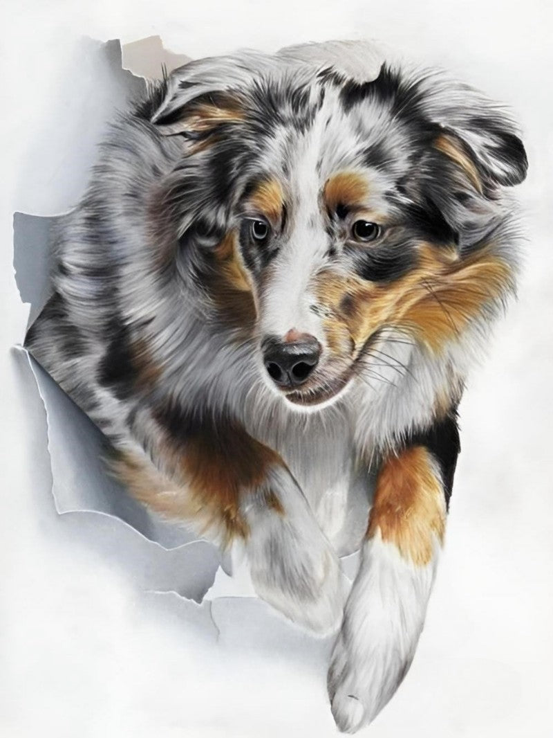 Dog Australian Shepherd | Diamond Painting