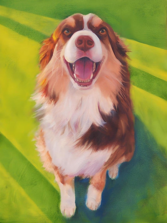 Dog Australian Shepherd | Diamond Painting