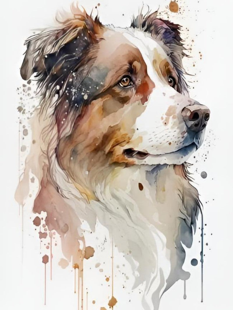 Dog Australian Shepherd | Diamond Painting