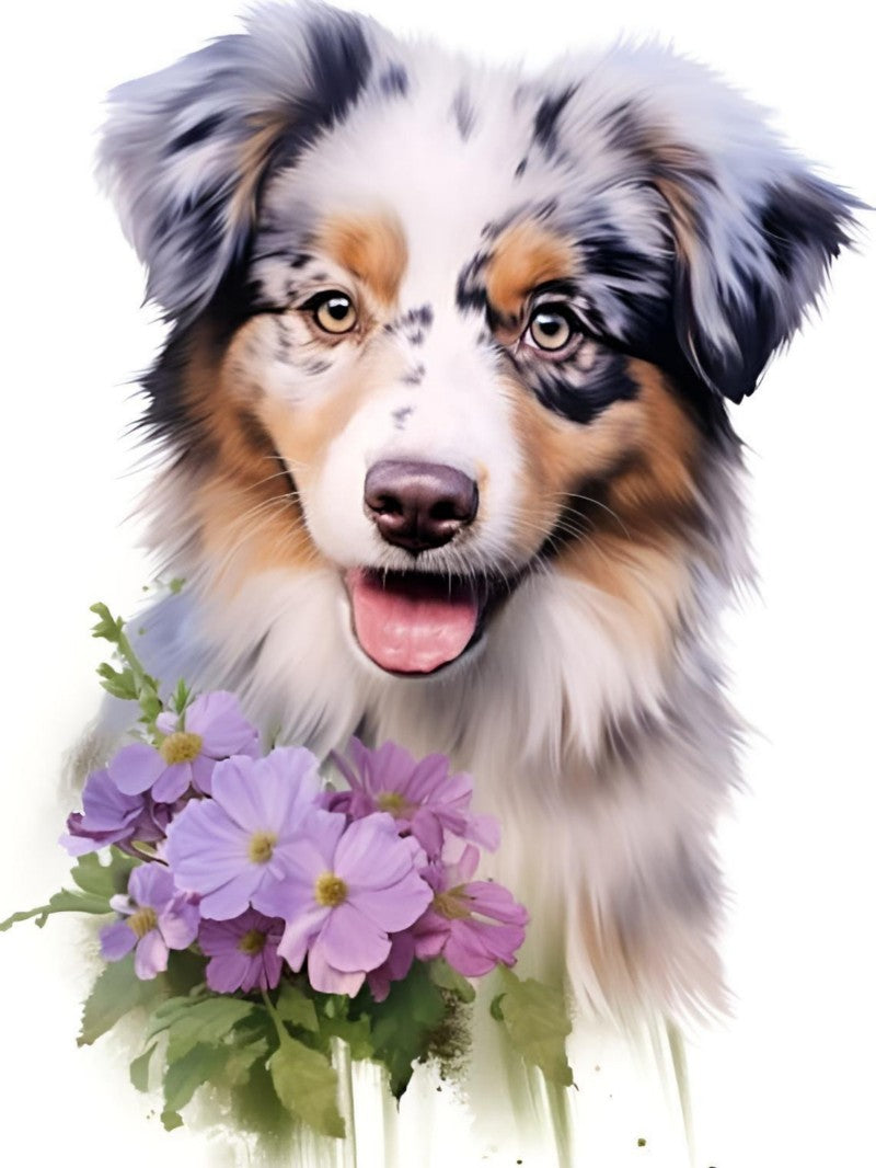 Dog Australian Shepherd | Diamond Painting