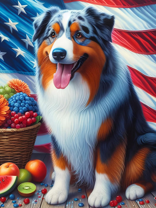 Dog Australian Shepherd | Diamond Painting