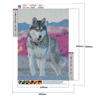 Animal Dog Husky | Diamond Painting