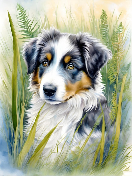 Dog Australian Shepherd | Diamond Painting