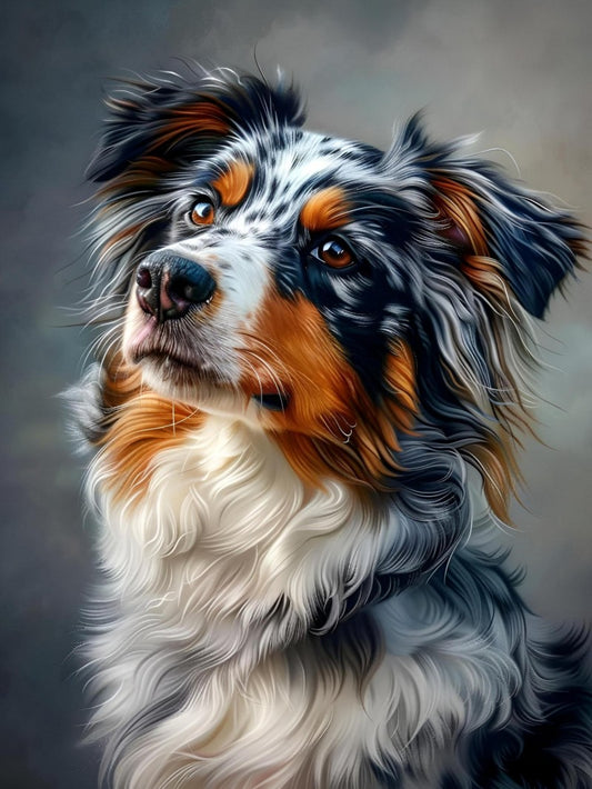 Dog Australian Shepherd | Diamond Painting