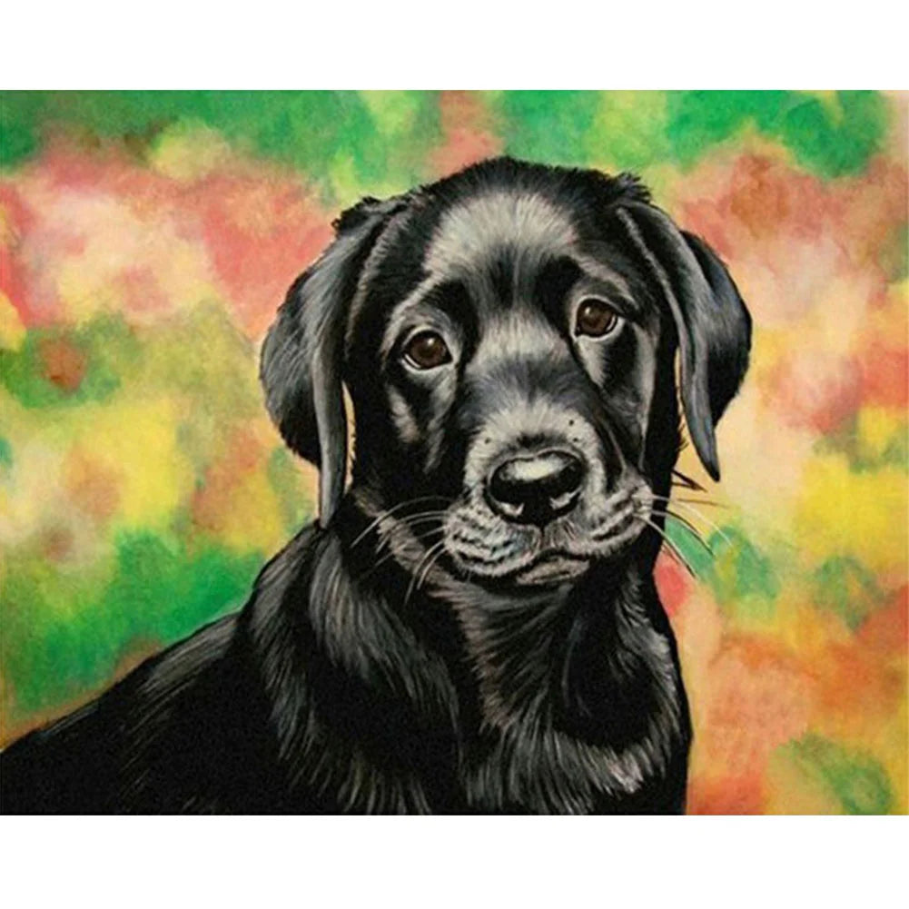 Black Dog | Diamond Painting