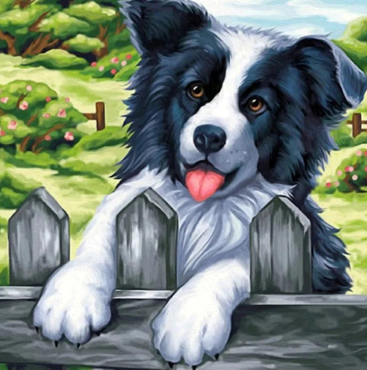 Fence Dog Border Collie | Cross Stitch Embroidery