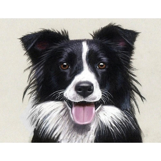 Black Dog Border Collie | Cross Stitch Embroidery