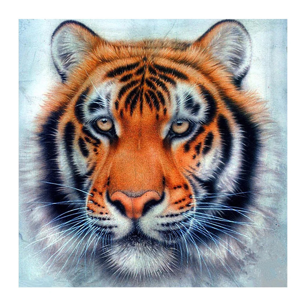 Tiger | Diamond Painting