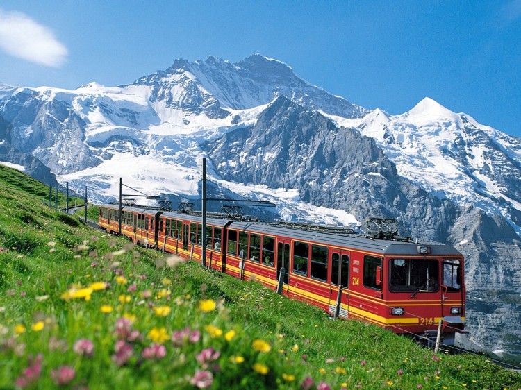 Train | Diamond Painting