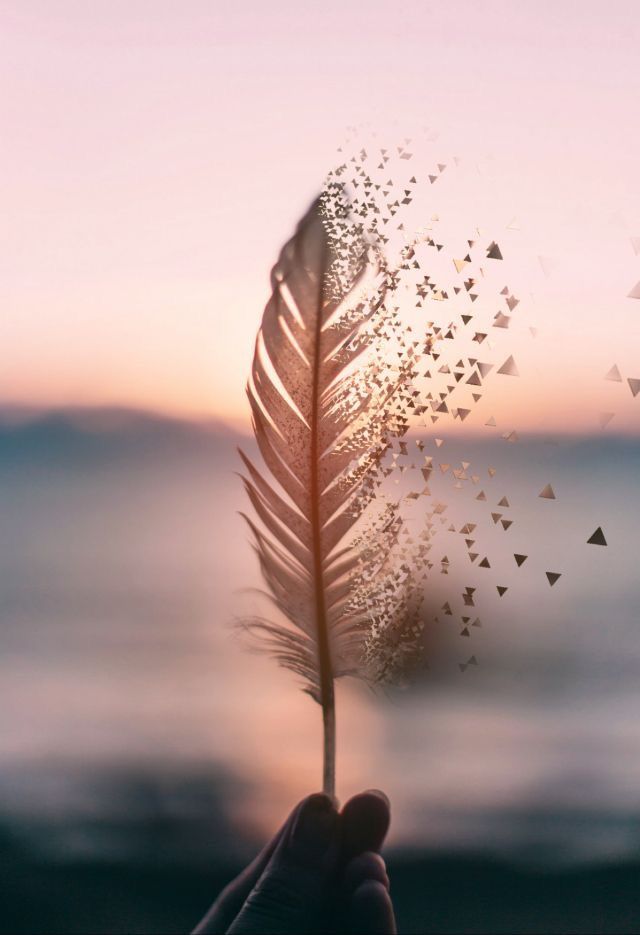 Feather | Diamond Painting