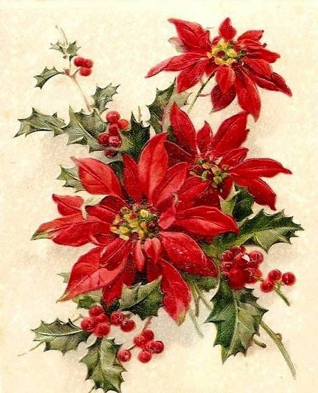 Poinsettia | Diamond Painting
