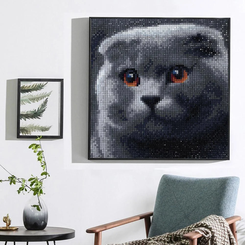 Cat | Diamond Painting