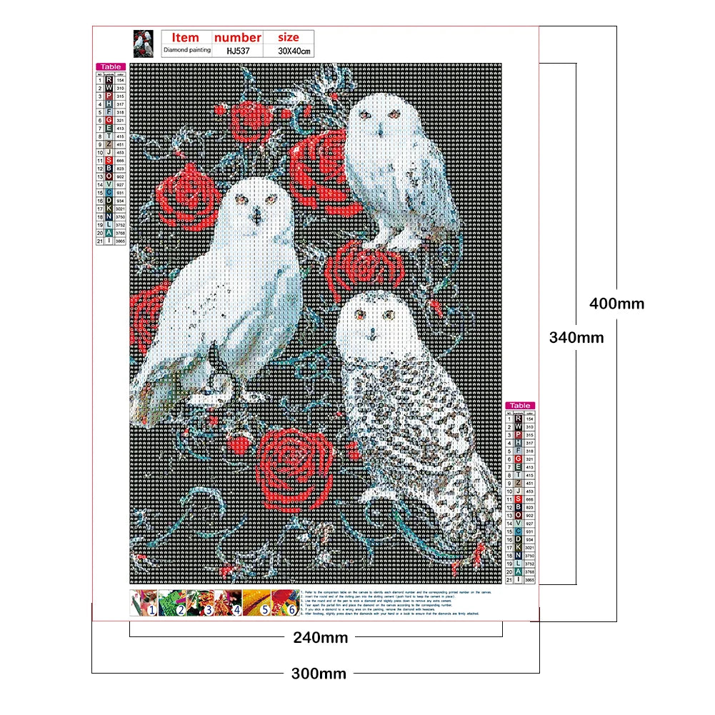 Flower And White Owl | Diamond Painting