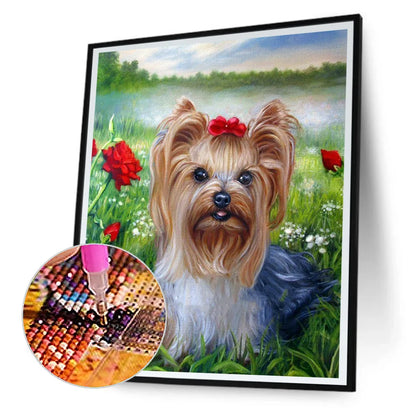 Cute Dog Yorkie | Diamond Painting