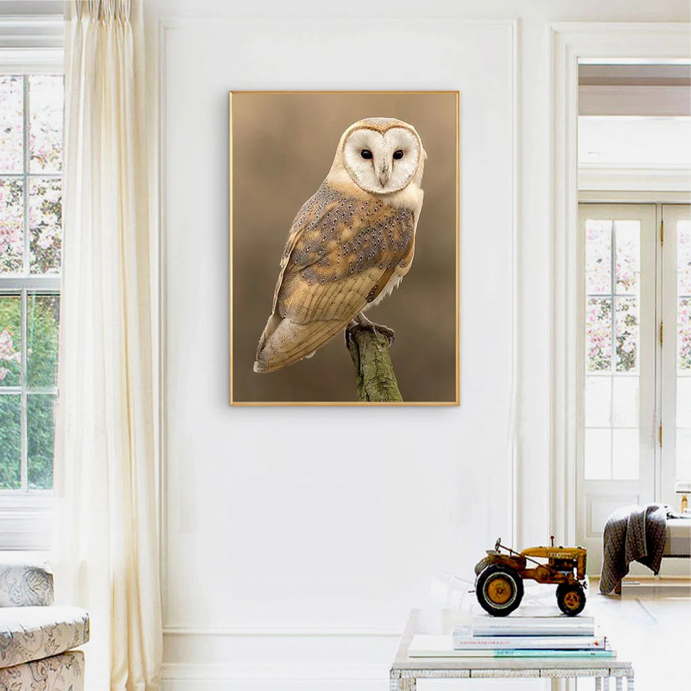 Owl | Diamond Painting