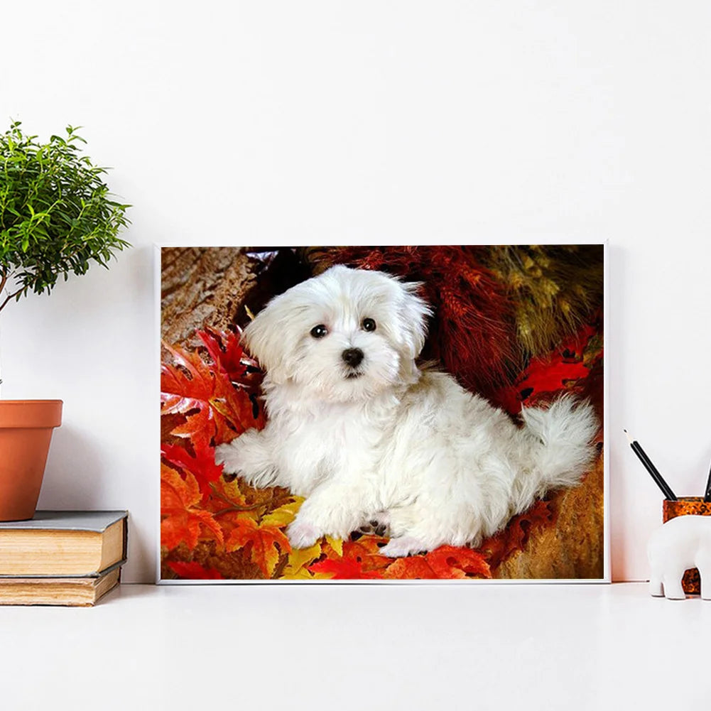 Cute Dog Shih Tzu | Diamond Painting