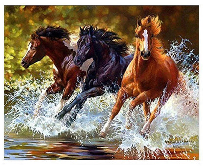 Black Horse | Diamond Painting