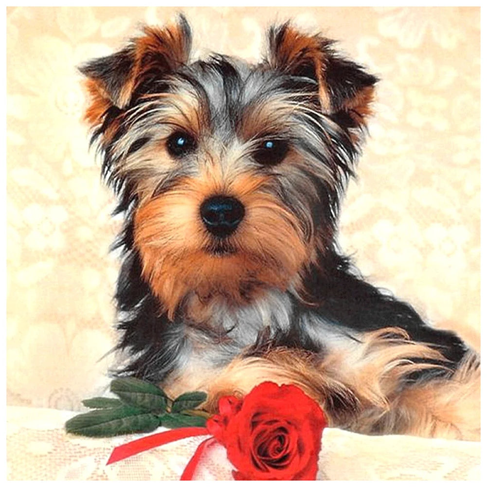 Rose And Dog Yorkie | Cross Stitch Embroidery