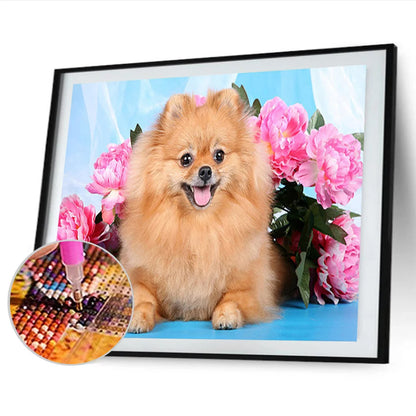 Flower Dog Pomeranian | Diamond Painting