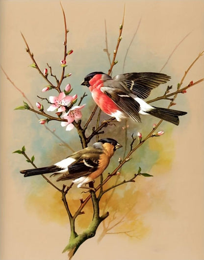 image0