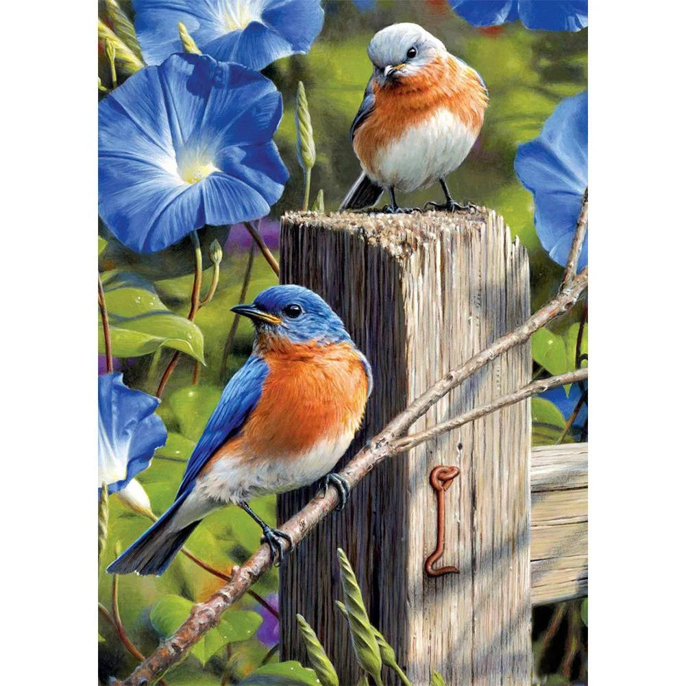 Blue Robin Bird | Diamond Painting