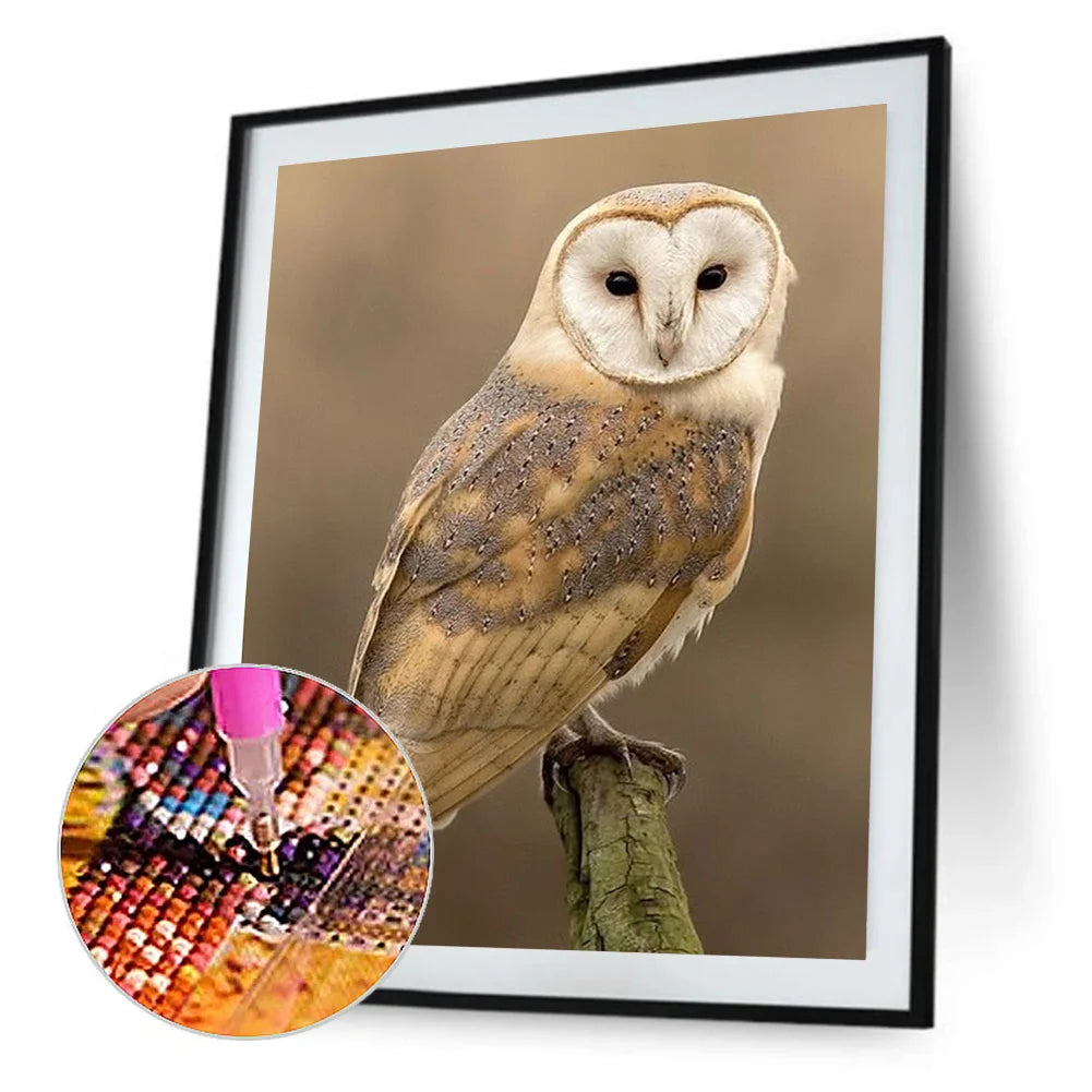 Owl | Diamond Painting