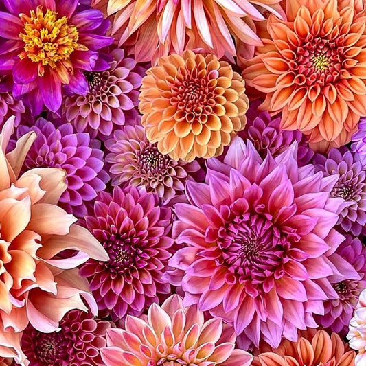 Dahlia | Diamond Painting