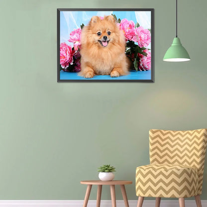 Flower Dog Pomeranian | Diamond Painting