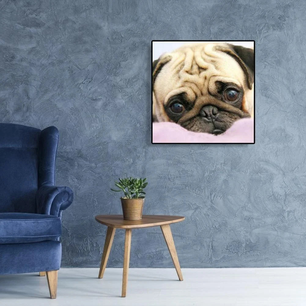 Big Eye Dog Pug | Diamond Painting