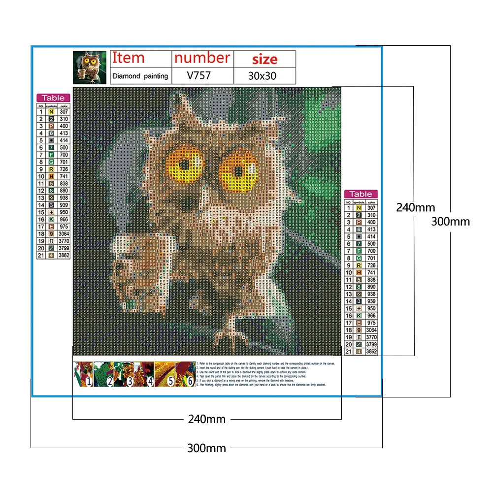 Owl | Diamond Painting