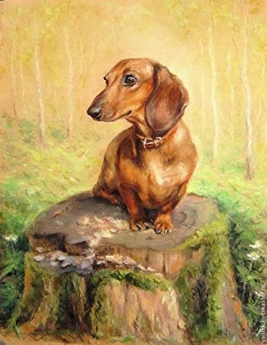 Dog Dachshund | Cross Stitch Embroidery