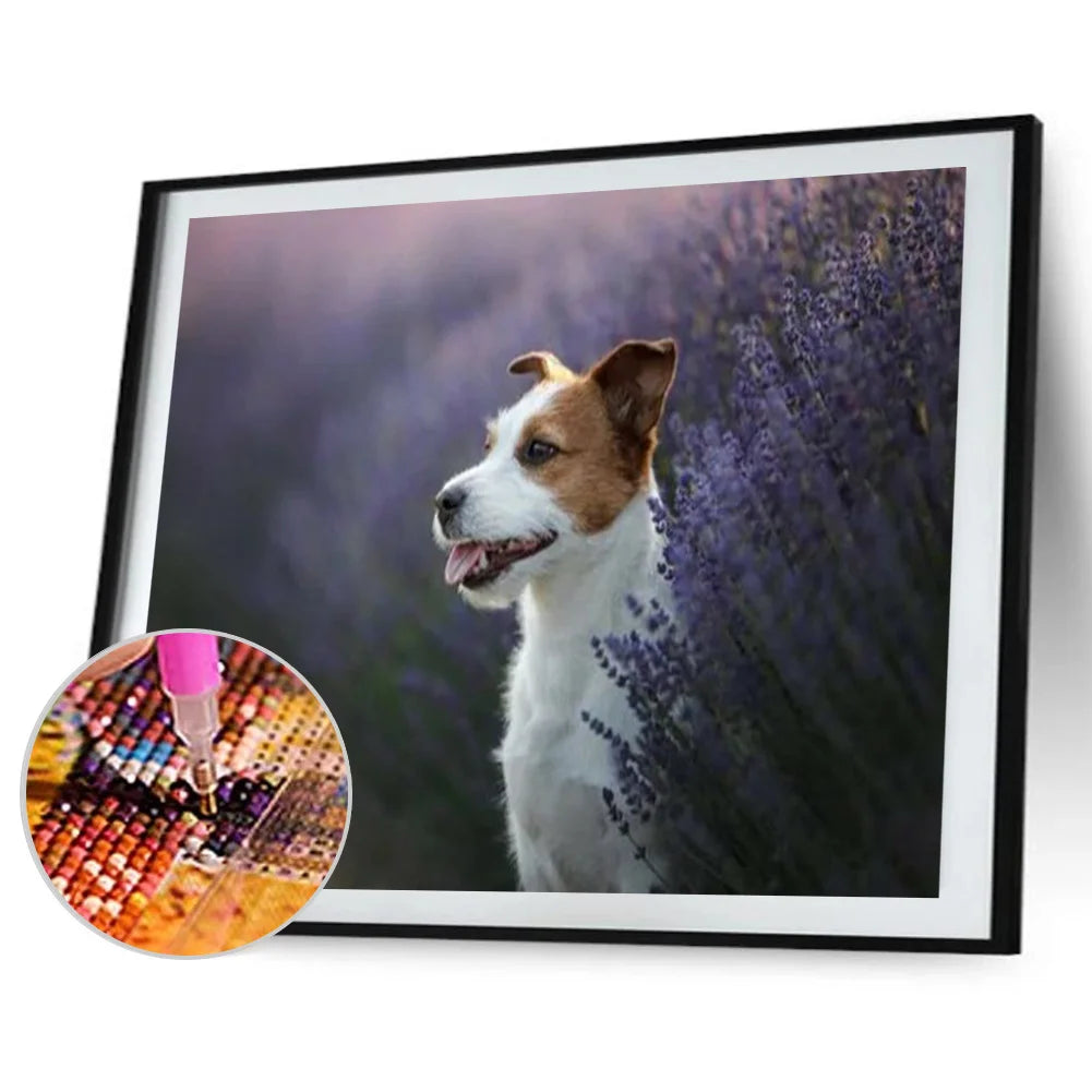 Jack Russell Dog Is Waiting | Diamond Painting