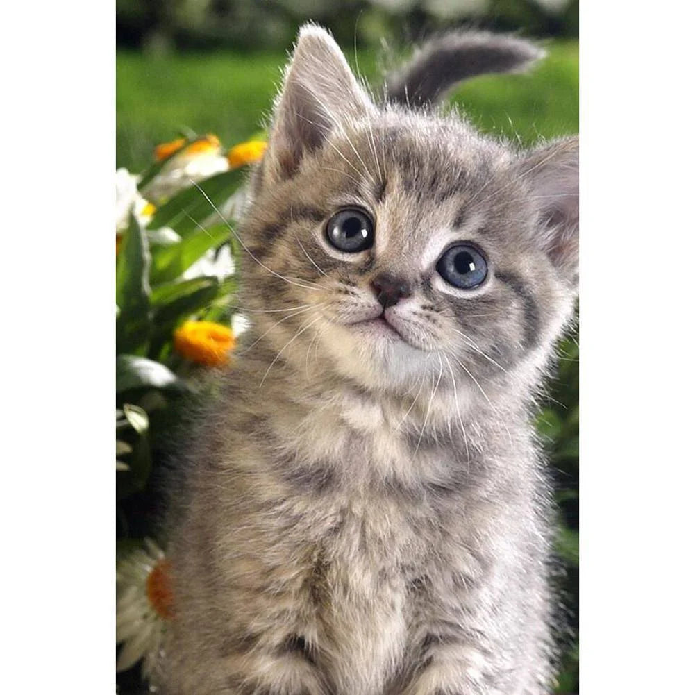 Cat | Cross Stitch Embroidery