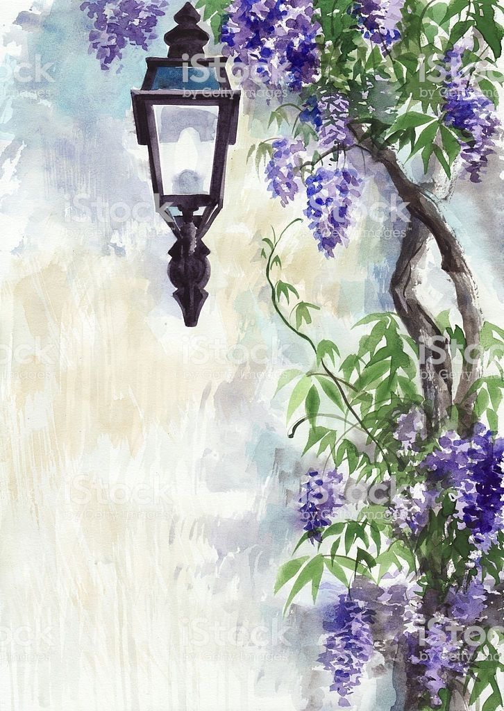 Wisteria | Diamond Painting