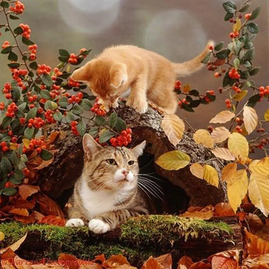 Cat | Cross Stitch Embroidery