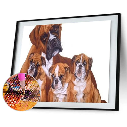 Smart Dogs Boxer | Diamond Painting