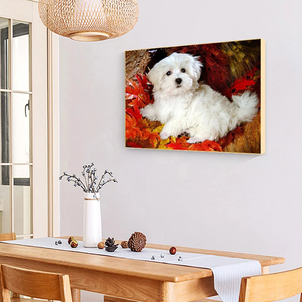 Cute Dog Shih Tzu | Diamond Painting