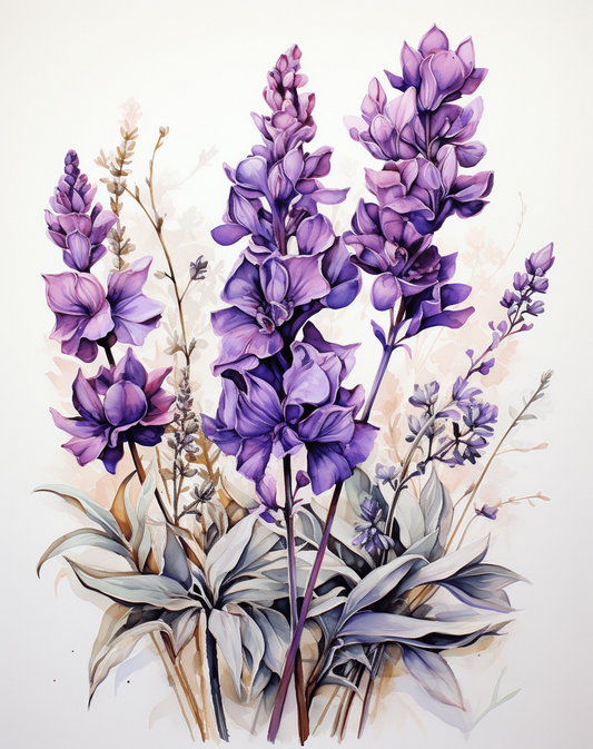 Lavender | Diamond Painting