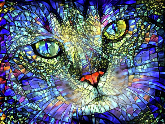 Beautiful Colorful Cat | Diamond Painting