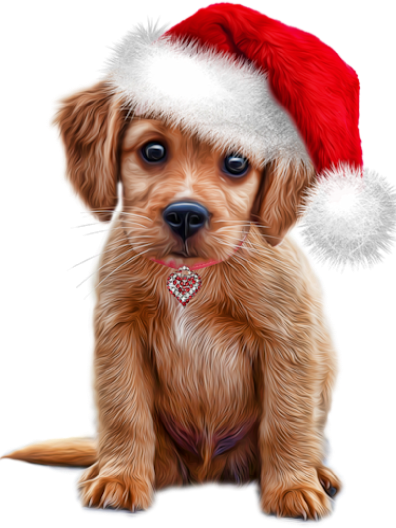 Christmas Dog | Diamond Painting