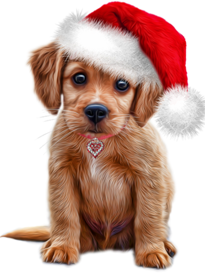 Christmas Dog | Diamond Painting