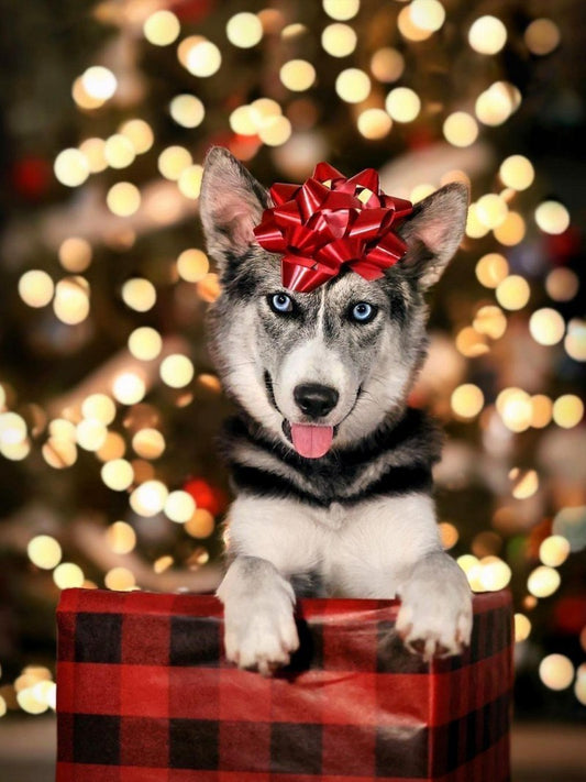 Christmas Dog | Diamond Painting