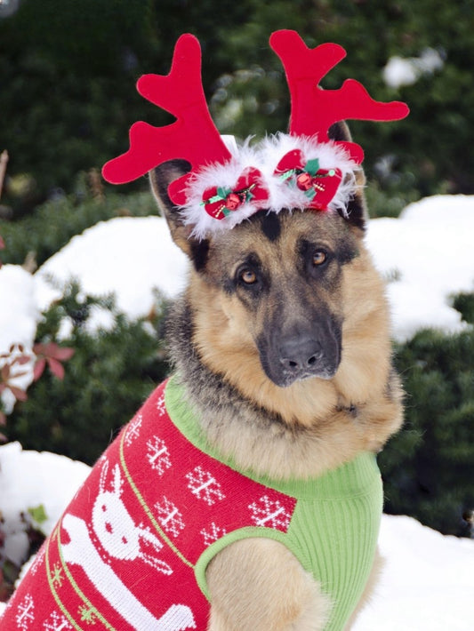 Christmas Dog | Diamond Painting