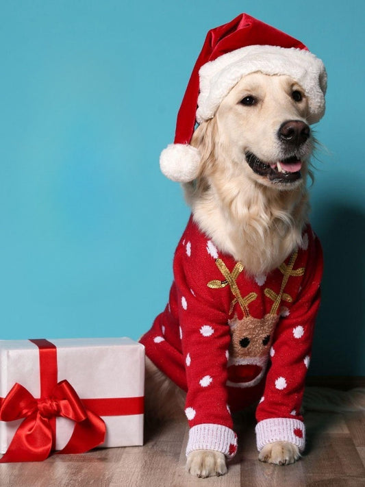 Christmas Dog | Diamond Painting