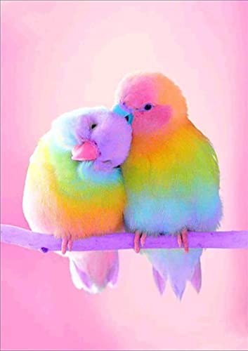 Love Birds Parrot | Diamond Painting