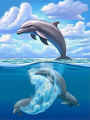 Dolphin | Diamond Painting