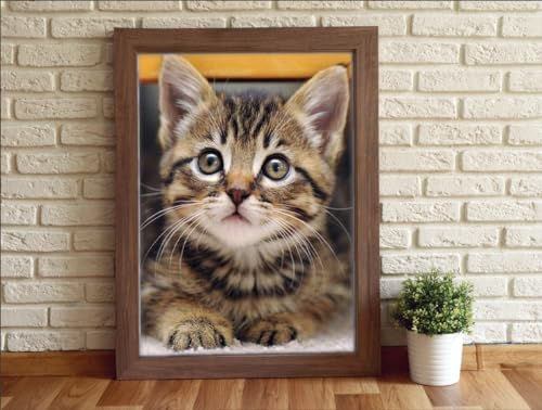 Cat | Diamond Painting